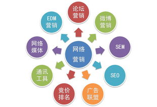 跟張有為老師學(xué)網(wǎng)絡(luò)營銷 我的市場營銷策劃心得感悟